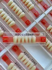Acrylic Resin False Teeth Accu-tone Anterior lower A3/67-3M dentures box 120pcs