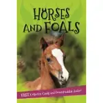 HORSES AND FOALS