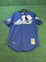 Mitchell & Ness Authentic Houston Astros Craig Biggio 1994 Baseball Jersey Large