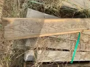 200x50 x2.4 treated pine bevel edge h4 sleepers