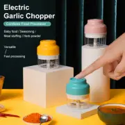 Electric USB Mini Food Processor Garlic Chopper Onion Grinder Cutter Vegetable