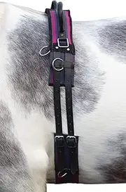 HKM 12701 Lunging Belt Canvas Fixed Double Handle Lunging Supplies Navy/Passion Pink WB
