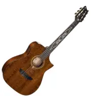 Cort Luxe Nylon Frank Gambale Signature Classical Nylon Guitar Florentine