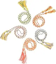 TEHAUX 5Pcs Graduate Ceremony Tassels Bachelor Hat Pendants for Graduation Celebrations Durable and Chic Academic Honor Ropes for Sharing with Friends
