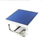 ZCBYBT Swimming Pool Diving Platform Pools Starting Block with Backstroke Handle for Indoor & Outdoor