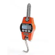 Industrial Scale Electronic Crane Scale - 300kg Capacity