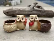 Cute Set Of 2 Small Owl Succulent Cactus Planter Pots