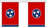 TENNESSEE U.S. STATE BUNTING 9 metres 30 flags Polyester flag