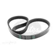 Gates Tru-Power Drive Belt (Green Stripe) - 2/AV15X1790