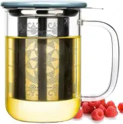 Aquach Glass Tea Steeping Mug with Infuser and Lid, 18oz Single Serve Clear