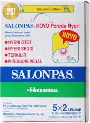 Salonpas Pain Relief Patch 100 Patch Value Box