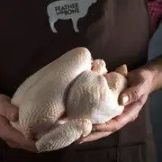 Organic Feather and Bone Whole Chicken - Fresh, healthy organic delivery | Doorstep Organics