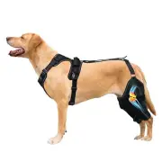 Dog Knee Brace For Torn Acl Hind Leg For Support With Cruciate Ligament Injury,