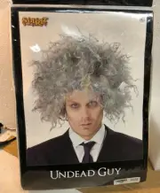 Spirit Halloween Wig Costume Cosplay Undead Guy Einstein Grey Gray Matted New