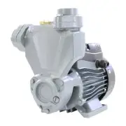 PEARL SELF-PRIMING PERIPHERAL WATER PUMP PSP - 0.5HP, 110V With Pressure Control