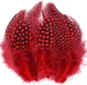 100Pcs Red Spotted Feathers Guinea Pheasant Feather 3-6 Inches for Crafts Dream