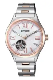 Citizen Stainless Steel Silver Dial Women's Watch