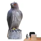 Large Size Eagle Decoy Scare Birds Away Pest Control Outdoor Patio Yard