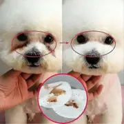 130pcs Pet Wet Wipes Eye Tear Ear Stain Remover Non-woven Cleaning Wet Towels Dog Cat Grooming Supplies High Quality