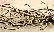 Off White Pip Wispy 4 ft Garland
