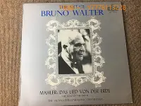 在飛比找Yahoo!奇摩拍賣優惠-歡樂購∽the art of bruno walter ma