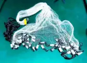 South Bend Bait Fishing Cast Net - Premium Monofilament 7ft radius - 3/8" Mesh