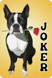 Mah Jongg Jong Mahjong 10 Joker Stickers - Set #280 ** Free Shipping **