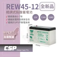 在飛比找蝦皮商城優惠-【YUASA】REW45-12 鉛酸電池12V45W POS