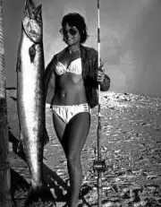 Barracuda On Heron Island In Queensland In Australia 1970 Old Fishing Photo