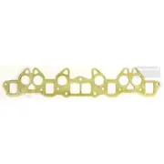 Platinum Extractor Gasket - HSM46