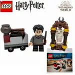 LEGO 樂高 2018組合包 HARRY POTTER 30407 哈利波特 JOURNEY TO HOGWARTS