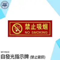 在飛比找Yahoo奇摩購物中心優惠-禁止吸菸 禁菸標識牌 夜光指示牌 螢光告示牌 PNS30 禁