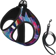 Music print Dog Harness and Leash Set, Reflective Adjustable Puppy Vest for Small Medium Large Dogs, Cats