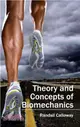 Theory and Concepts of Biomechanics