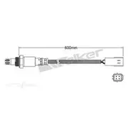 PAT Oxygen/Lambda Sensor Pre-Catalytic Converter/Manifold - EGO-604