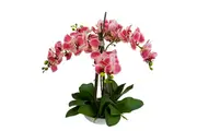 Glamorous Fusion Phalaenopsis Orchid Artificial Plant Flower Decorative 60cm White Bowl - Pink