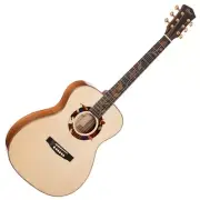 Cort Luce-LE Autumn Leaves II Limited Edition Acoustic Guitar L.R. Baggs Anthem