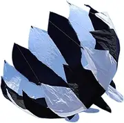 Frediuo 3D Kite Soft Kite Easy to Fly Soft Boys and Girls 3D Sports Beach Kite Rotating Kite for Outdoor Hiking Trip Beginners Summer, Black White