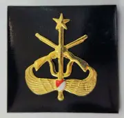 Indonesia TNI Infantry Army Hat Beret Pin