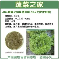 在飛比找蝦皮購物優惠-【蔬菜之家滿額免運】A89.綠香火焰綠萵苣種子0.2克(約1