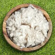 Kapok Filling Organic - 2.3kg