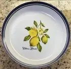 House & Garden Yellow Lemons Blue Stripe Edge MELAMINE Dinner Bowls 10” Set Of 4