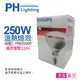 2入 【PHILIPS飛利浦】 250W 220V E27 紅外線溫熱燈泡 清面 PH070009