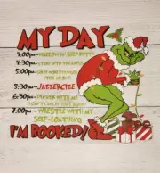 Grinch's Schedule Ready to Press Heat Transfer Screen Print DTF Transfer