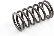 Briggs & Stratton 692084 Valve Spring Replacement for Models 805937 and 692084