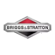 Briggs & Stratton 844992 Carburetor