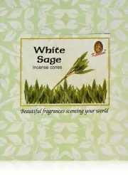 120 Cones Kamini Incense Cones WHITE SAGE - BULK 1 Box = 12 packets