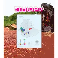 在飛比找蝦皮購物優惠-莉普森【咖啡生豆】2022產季■衣索比亞 日曬 耶珈雪啡 科