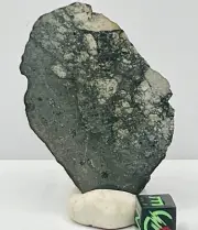 NWA 15658 38.67g Meteorite Polished End Cut Eucrite Melt Breccia IMCA Sellers