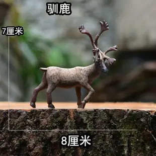 實心仿真動物模型玩具迷你野生動物微景觀青蛙狼獅猴子熊馴鹿麂子